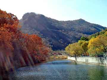 新澳天天开奖资料大全旅游团，维雪啤酒